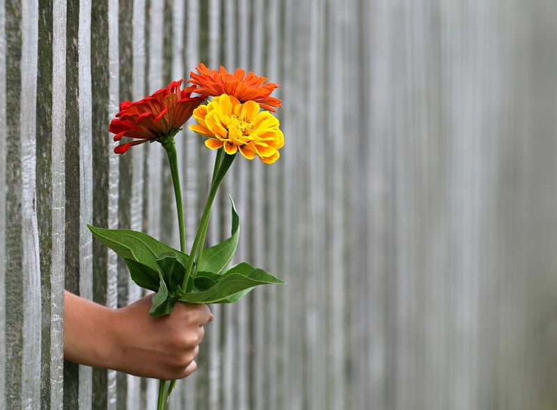 Seasonal Offerings